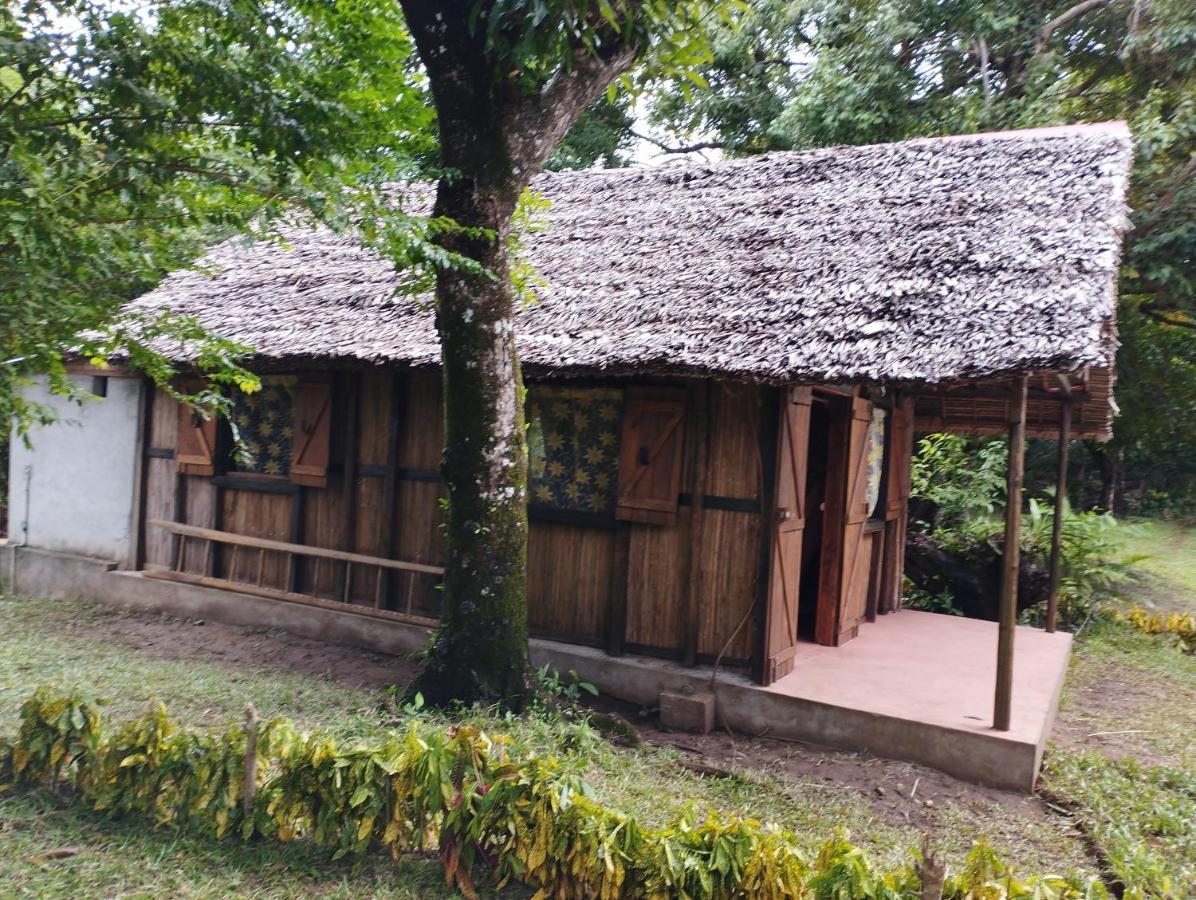 Chambres D'Hotes Villa Les Orchidees Chez Ago Ile Sainte-Marie المظهر الخارجي الصورة